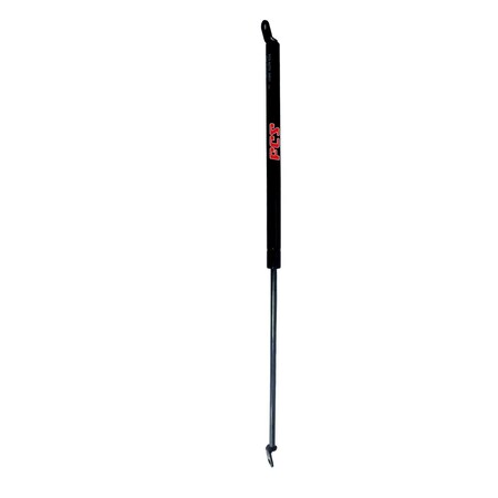 Fcs Struts LIFT SUPPORT HATCH 84831